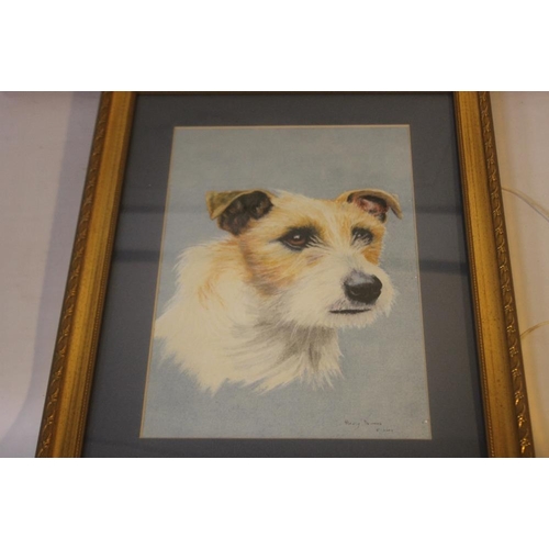 305 - A WATERCOLOUR OF A TERRIER DOG, signed 