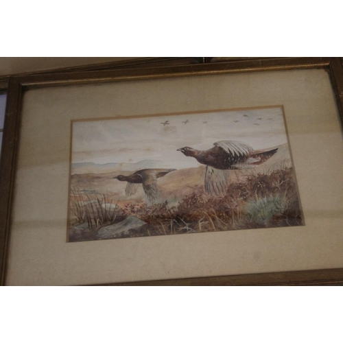 307 - THREE FRAMED AND GLAZED GAME BIRDS WATERCOLOURS AFTER ARCHIBALD THORBURN MONOGRAMMED HMW 1906