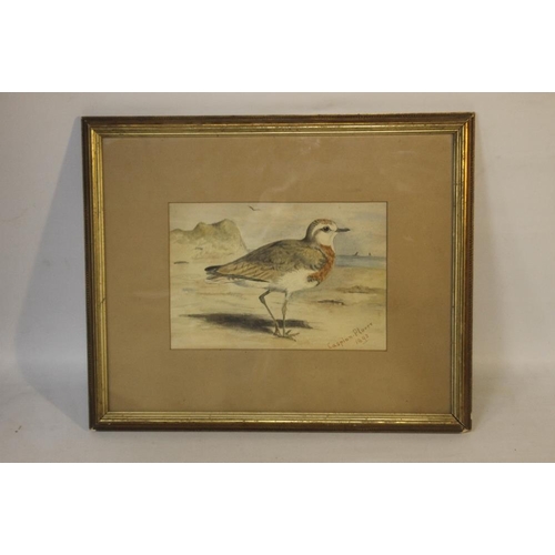 308 - AFTER ARCHIBALD THORBURN A FRAMED AND GLAZED WATERCOLOUR TITLED 