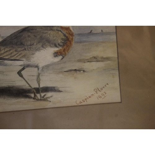 308 - AFTER ARCHIBALD THORBURN A FRAMED AND GLAZED WATERCOLOUR TITLED 