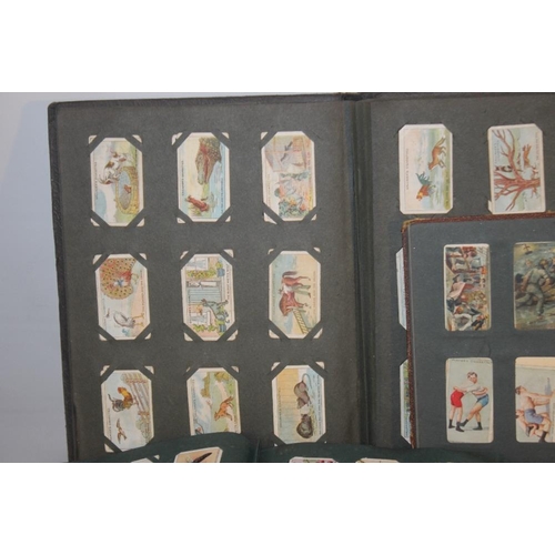 212 - A COLLECTION OF CIGARETTE AND TEA CARDS, IN ALBUMS, LOOSE WITH A QUANTITY OF MINOR EPHEMERA