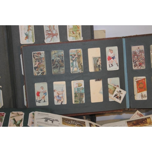 212 - A COLLECTION OF CIGARETTE AND TEA CARDS, IN ALBUMS, LOOSE WITH A QUANTITY OF MINOR EPHEMERA