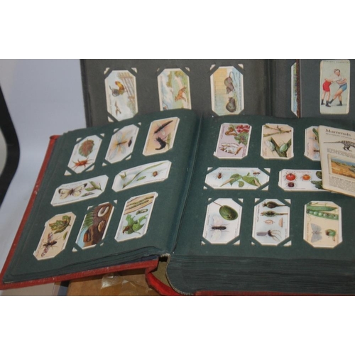 212 - A COLLECTION OF CIGARETTE AND TEA CARDS, IN ALBUMS, LOOSE WITH A QUANTITY OF MINOR EPHEMERA