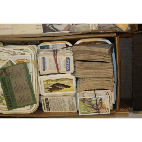 217 - A COLLECTION OF TEA AND CIGARETTE CARDS and a quantity of Royal Mail stamp postcards, presentation p... 