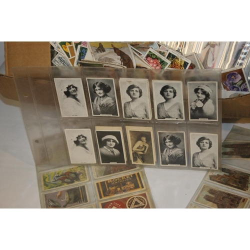 218 - A LARGE QUANTITY OF CIGARETTE CARDS LOOSE AND IN ALBUMS, to include areophane's, garden flowers, his... 