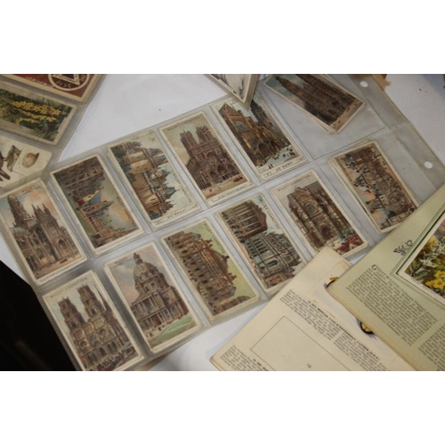 218 - A LARGE QUANTITY OF CIGARETTE CARDS LOOSE AND IN ALBUMS, to include areophane's, garden flowers, his... 