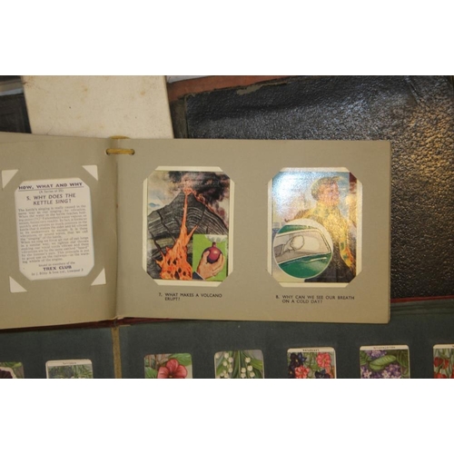 219 - A QUANTITY OF CIGARETTE CARDS LOOSE AND IN ALBUMS, to include The Kings and Queens of England, How W... 