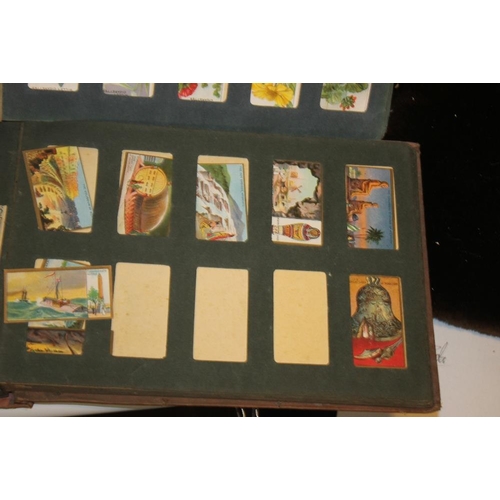 219 - A QUANTITY OF CIGARETTE CARDS LOOSE AND IN ALBUMS, to include The Kings and Queens of England, How W... 