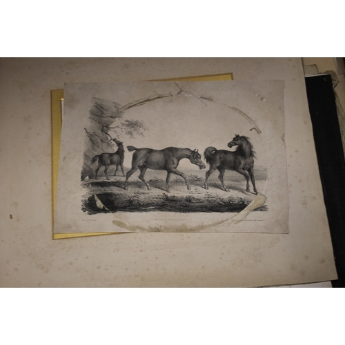 342 - A TRAY OF UNFRAMED ENGRAVINGS AND ETCHINGS ETC., various artists and subjects to include R. Dalton, ... 