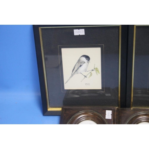 100 - SIX FRAMED PRINTS OF BIRDS AND FLOWERS BY ROBERTA SCOTT