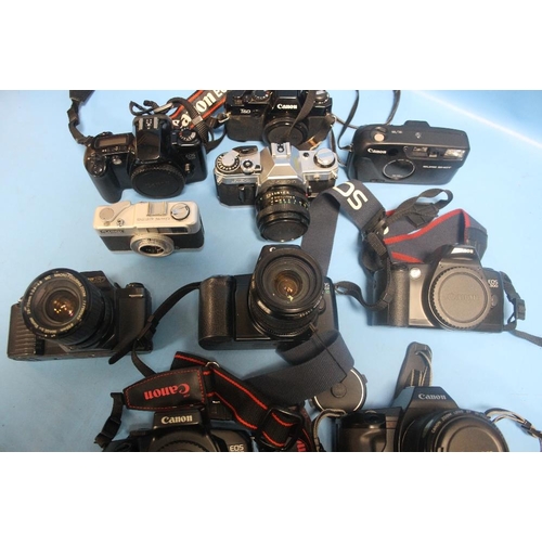 218 - A TRAY CONTAINING 10 CANON CAMERAS TO INCLUDE A EOS650, T50, AND AN EOS 1000F