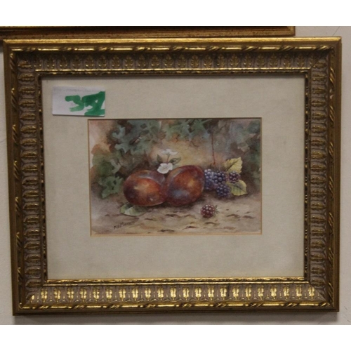 31 - A SMALL WATERCOLOUR OF FRUIT SIGNED M E MORRIS 24.5 CM 20.5 CM