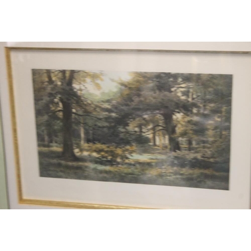 48 - TWO GILT FRAMED HAND COLOURED ENGRAVINGS, SIGNED 