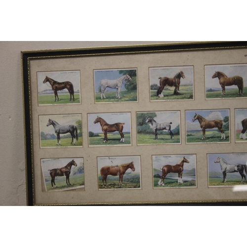 65 - A SET OF FRAMED CIGARETTE CARDS (5513)