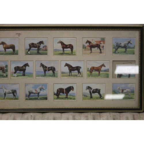 65 - A SET OF FRAMED CIGARETTE CARDS (5513)