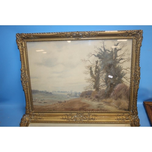 77 - A PAIR OF FRAMED AND GLAZED PRINTS DEPICTING COUNTRYSIDE SCENES