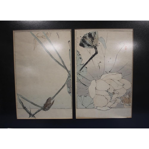 9 - WATANBE SEITEL TWO FRAMED  ANTIQUE JAPANESE WOOD BLOCK PRINTS DEPICTING FLOWERS IN ONE FRAME