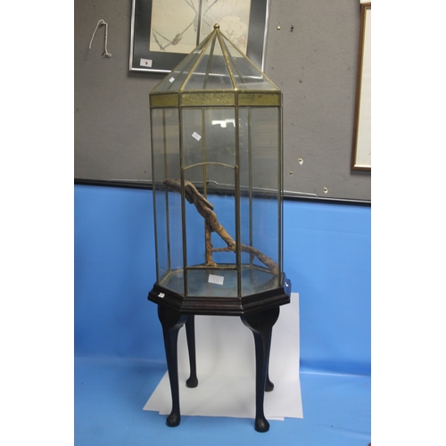 352 - A VINTAGE BRASS FRAMED TERRARIUM OR FITTED WOODEN STAND