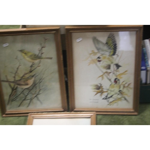 15 - THREE FRAMED AND GLAZED PRINTS DEPICTING BIRDS