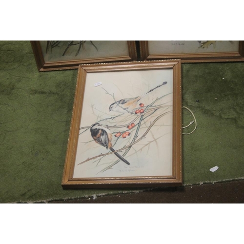 15 - THREE FRAMED AND GLAZED PRINTS DEPICTING BIRDS