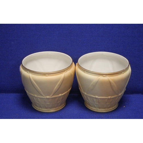 191 - A PAIR OF WORCESTER VASES