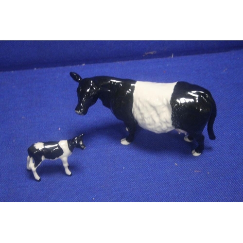 218 - A BESWICK BELTED GALLOWAY TOGETHER WITH A BESWICK FRESIAN CALF