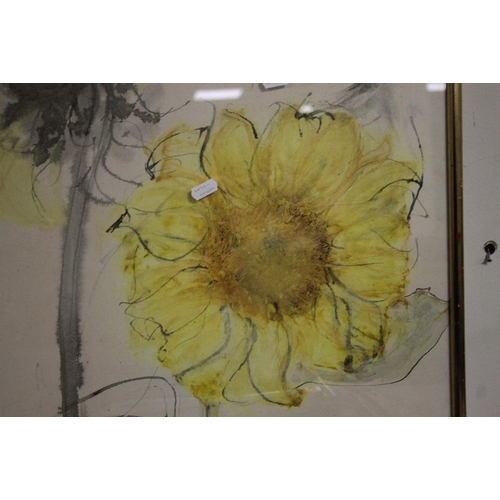 24 - A FRAMED AND GLAZED WATERCOLOUR DEPICTING A SUNFLOWER