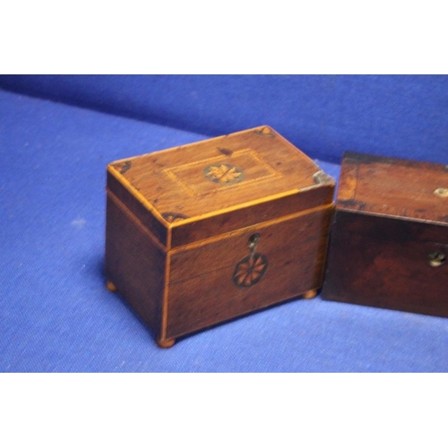 241 - THREE ANTIQUE TEA CADDY'S 1 A/F