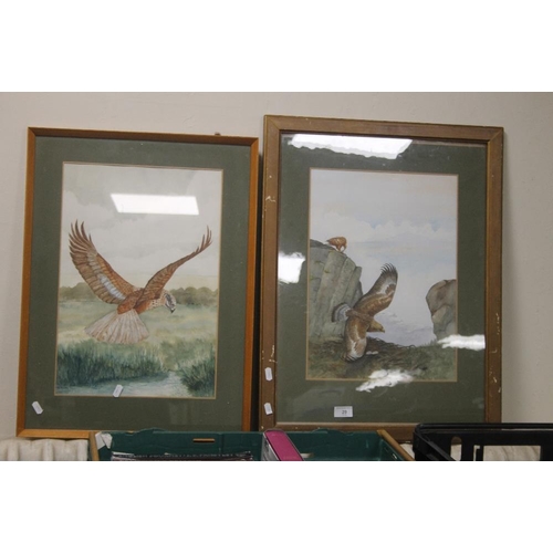 29 - TWO FRAMED AND GLAZED WATERCOLOURS DEPICTING BIRDS OF PREY