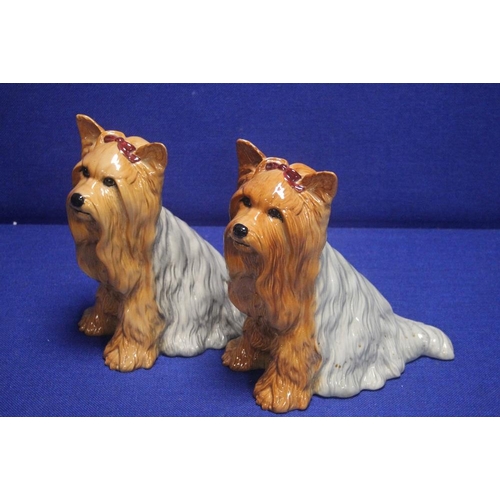 59 - A PAIR OF BESWICK YORKSHIRE TERRIERS