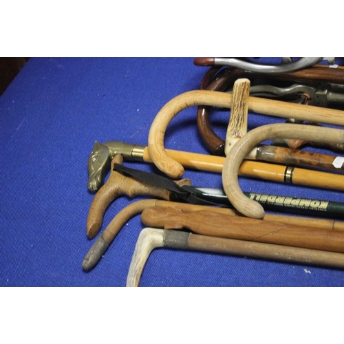 92 - A COLLECTION OF ASSORTED WALKING STICKS TO INCLUDE SILVER TOPPED EXAMPLES