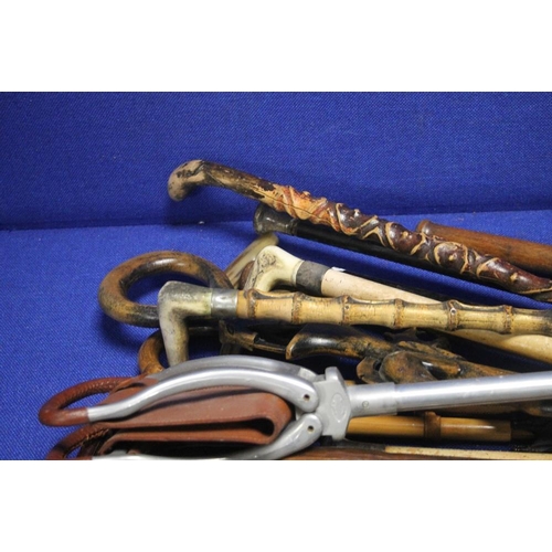 92 - A COLLECTION OF ASSORTED WALKING STICKS TO INCLUDE SILVER TOPPED EXAMPLES