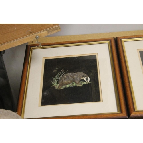 27 - FOUR FRAMED WILDLIFE PRINTS