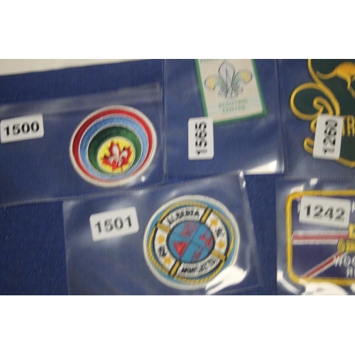 2 - A SMALL TRAY OF SEW ON SCOUT AND OTHER Badges, to include Australian and Canadian type examples,