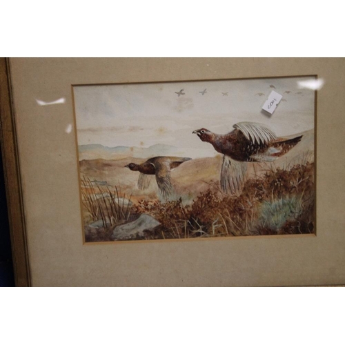 4 - THREE EDWARDIAN WATER COLOURS OF GAME BIRDS