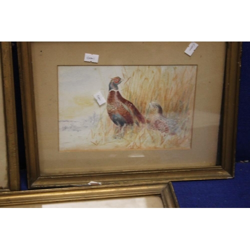 4 - THREE EDWARDIAN WATER COLOURS OF GAME BIRDS