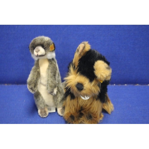 267 - A STEIFF YORKSHIRE TERRIER TOGETHER WITH A STEIFF BABY ERDMAENNCHEN