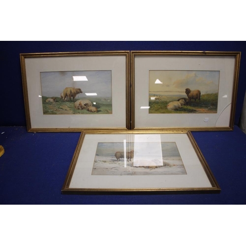 2 - A PAIR OF WATERLCOLOURS OF SDHEEP SIGNED WAINEWRIGHT 1841 TOGETHER WITH A SIMILAR UNSIGNED EXAMPLE