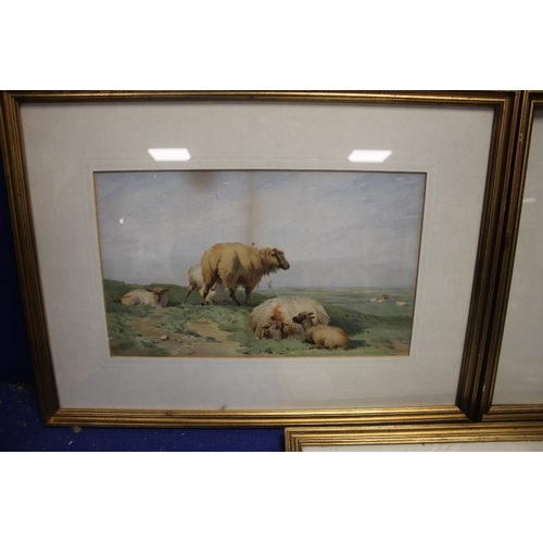 2 - A PAIR OF WATERLCOLOURS OF SDHEEP SIGNED WAINEWRIGHT 1841 TOGETHER WITH A SIMILAR UNSIGNED EXAMPLE