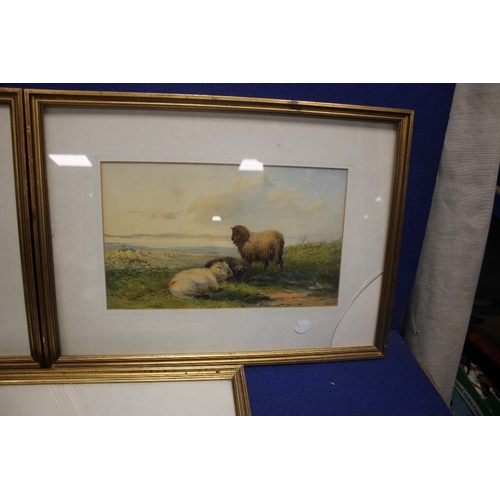 2 - A PAIR OF WATERLCOLOURS OF SDHEEP SIGNED WAINEWRIGHT 1841 TOGETHER WITH A SIMILAR UNSIGNED EXAMPLE