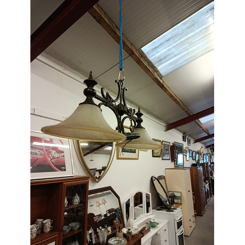 94 - Decorative Double Bulb Kitchen Ceiling Shade
