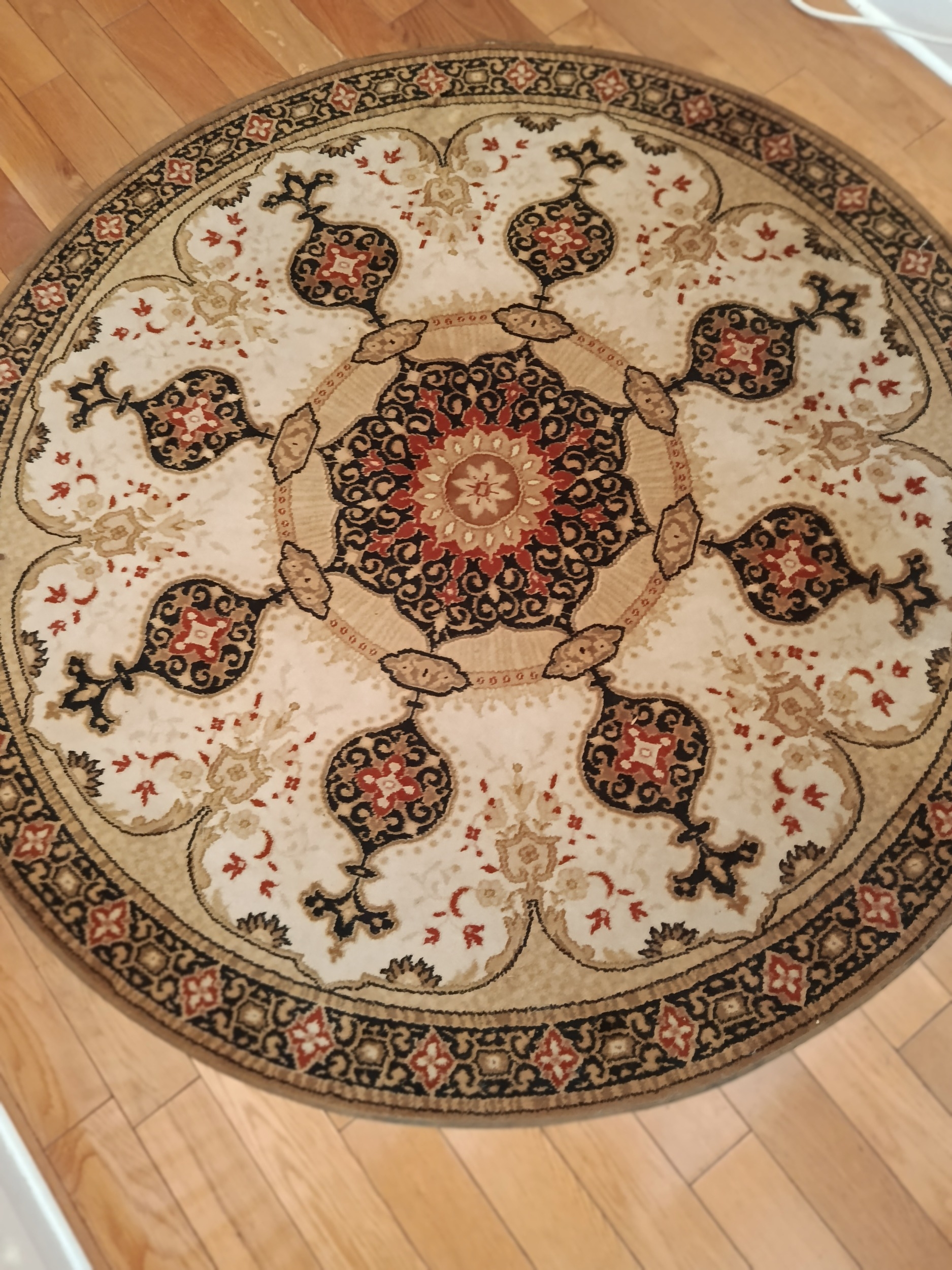 Concerto circular oriental style rug