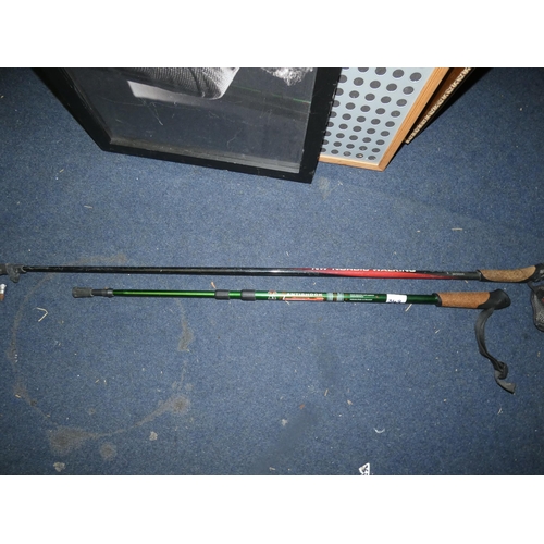 349 - NORDIC WALKING STICK AND HIKING STICK