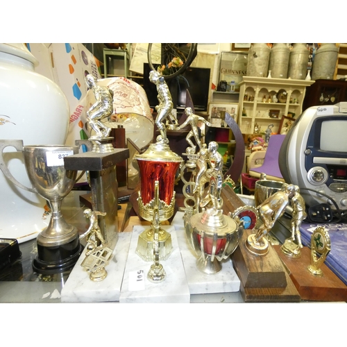 501 - LARGE LOT OF TROPHIES