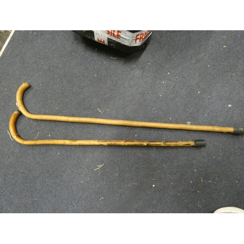 528 - 2 WALKING STICKS