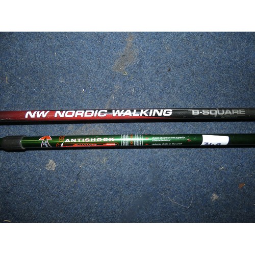 349 - NORDIC WALKING STICK AND HIKING STICK