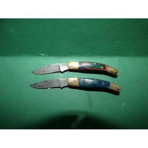 353 - PAIR OF SMALL FRUIT KNIVES