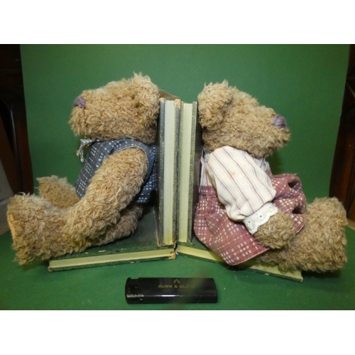 1 - TEDDY BOOK ENDS