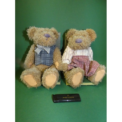 1 - TEDDY BOOK ENDS