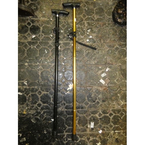 601 - 2 ADJUSTABLE WALKING STICKS